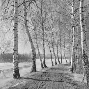 Landschaftsbild. Frühling im Spreewald. Leiper Weg. Heuschober. Die Wiesen sind überschwemmt. : Wobraz krajiny. Nalěćo w Błótach. Puć w Lipjem. Kopjena (Stogi). Łuki su přepławjene.