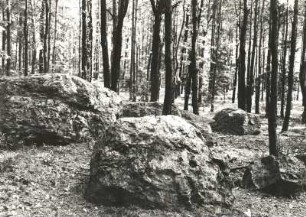 Landkreis Meißen. Golkwald. Heidegräber, Naturdenkmal Riesensteine. Gangquarzit (im Meißner Granit)