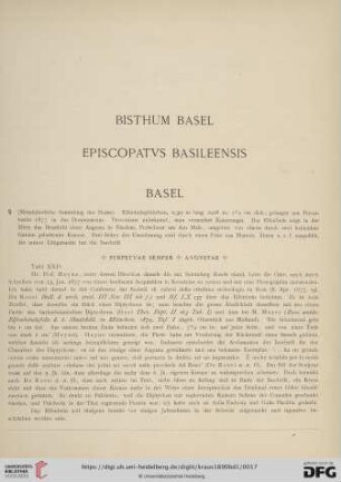 Bisthum Basel