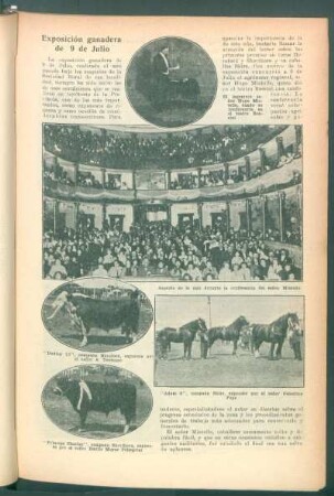 Exposición ganadera de 9 de Julio