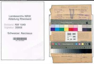 Entnazifizierung Narzissus Schwarzer , geb. 13.12.1904 (Ingenieur)
