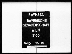 Papst, Kirchenstaat und Nuntien