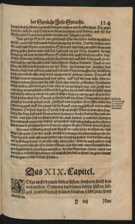 Das XIX. Capitel.