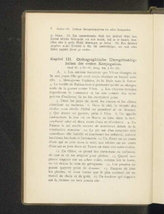 Kapitel III. Orthographische Unregelmäßigkeiten der ersten Konjugation.