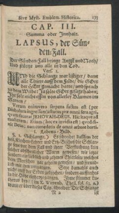 Cap. III. Lapsus, der Sünden-Fall