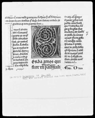 Die 12 kleinen Propheten mit Glosse — Initiale V(erba), Folio 45verso