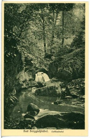 Bad Gottleuba-Berggießhübel. Gottleubatal
