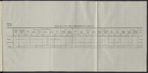Belastung durch die Unfälle innerhalb der Zweiganstalt während des Jahres 1914.