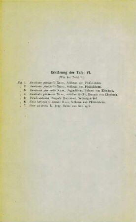 Erklärung der Tafel VI