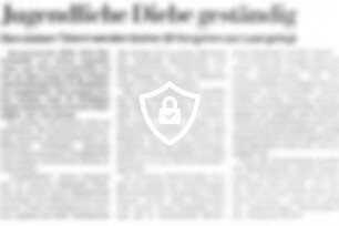 Jugendliche Diebe geständig