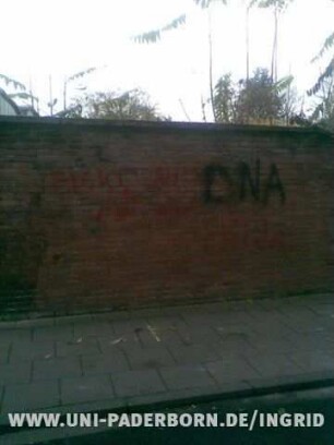 DNA