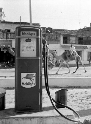 "Unterwegs". Zapfsäule einer Tankstelle und Kamel mit Reiter : Indien. "Unterwegs". Zapfsäule einer Tankstelle und Kamel mit Reiter