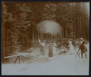 Mitglieder der Familien Kroll und Finsterbusch auf einem Waldspaziergang