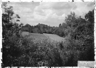 Trifels Landschaftsbild