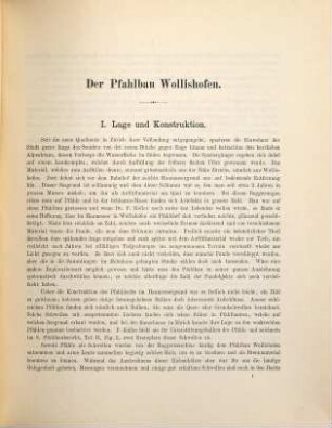 Der Pfahlbau Wollishofen