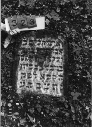 Grabstein 323 (Index: 99791347) Maße HxBxT: 64x44xo.A. cm: Grabstein 323