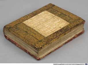 Elfenbeineinband zum Evangeliar - BSB Clm 6832#Einband