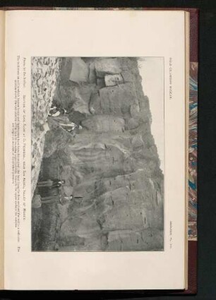 Pl. VIII. - Section of lava flow at El Pedregal, near San Ángel, Valley of Mexico. : Photo by the Author.