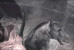 Venus und Adonis auf