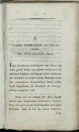 6. Canis Familiaris. var. Terrae nouae. Der Neufundländische Hund.