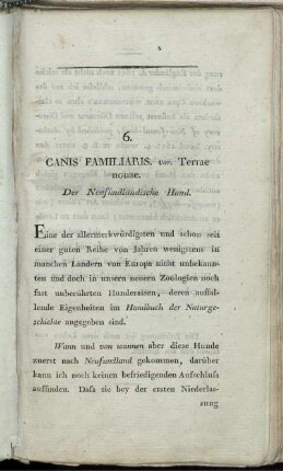 6. Canis Familiaris. var. Terrae nouae. Der Neufundländische Hund.