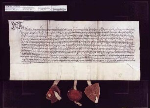 Erzherzog Sigmund von der Herrschaft Hohenberg wegen, die Grafen Eberhard d. Ä. und d. J. und die Stadt Esslingen schließen einen Vertrag wegen des Flößens und Fischens im Neckar.