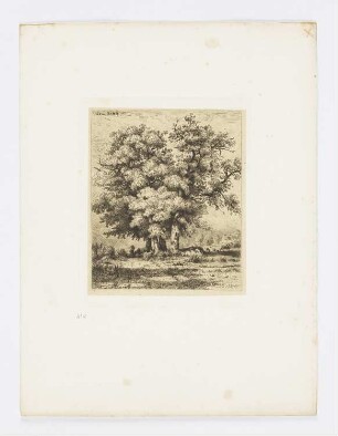 Hirtin lässt Kühe unter einem Baum weiden, Blatt 4 der Folge "Sommer auf Reisen"