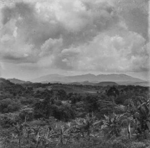 Mbo-Ebene (Kamerunreise 1937)