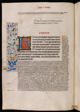 Liber IV