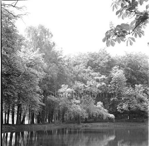 Salzteich