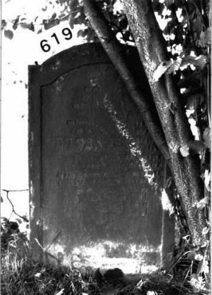 Grabstein 619