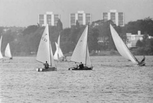 Hamburg. Segelschiffe auf der Außenalster. Aufgenommen mit Teleobjektiv 1962