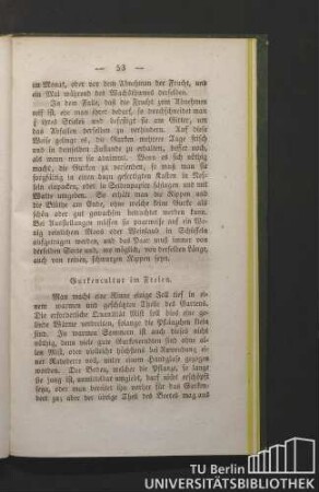 Gurkencultur im Freien.