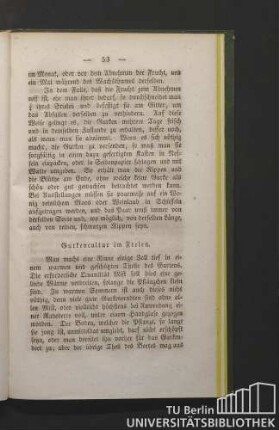 Gurkencultur im Freien.