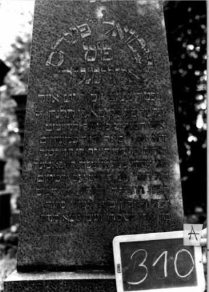 Grabstein 310 [Nir S. 184 Nr. 17.01]: Grabstein 310A [Nir S. 184 Nr. 17.01]