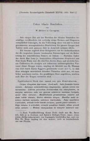Ueber blinde Bembidien