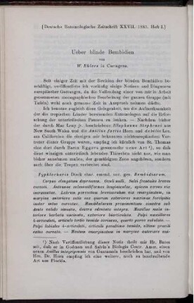 Ueber blinde Bembidien