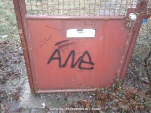 ANe