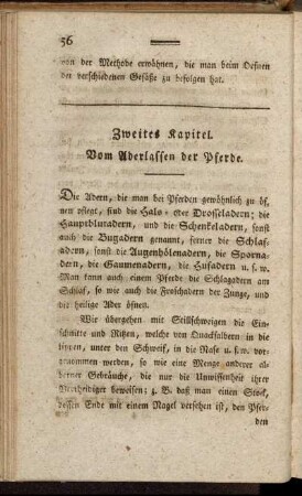 Zweites Kapitel. Vom Aderlassen der Pferde.
