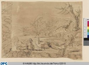 Landschaft mit Federvieh
