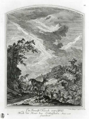 Brunft-Hirsch mit Wild : Ridinger, Johann Elias: Brunft-Hirsch mit Wild. Radierung; 332 x 254 mm. Dresden: Kupferstich-Kabinett A 252/2 : A 11404