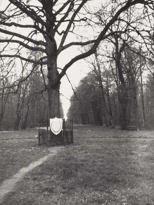 Park Rosental