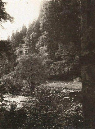 Schwarzwald, Höllental. Hirschsprung