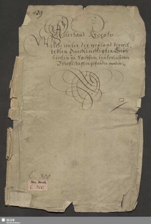 Medizinische Texte - Mscr.Dresd.C.300