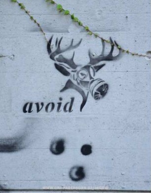 avoid