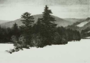 Winterlandschaft