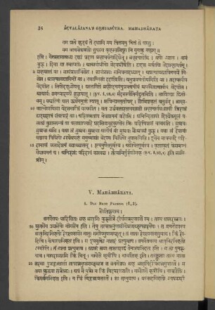 V. Mahabharata.