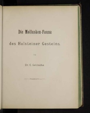 Die Mollusken-Fauna des Holsteiner Gesteins.