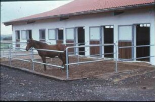 Fotografie: Pferdehaltung, Boxenstall, Gülle- und Entmistungstechnik