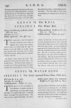 Genus VI. The Rail